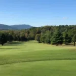 Golf Flag US Golf Business