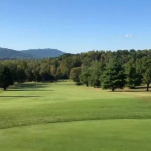 Golf Flag US Golf Business
